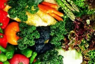 Se puede vivir sin comer alimentos de origen animal y estar saludable