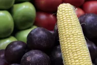 “La falla está en la restricción de alimentos”