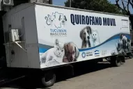 Trailer sanitario: qué servicios gratuitos tiene para tus mascotas
