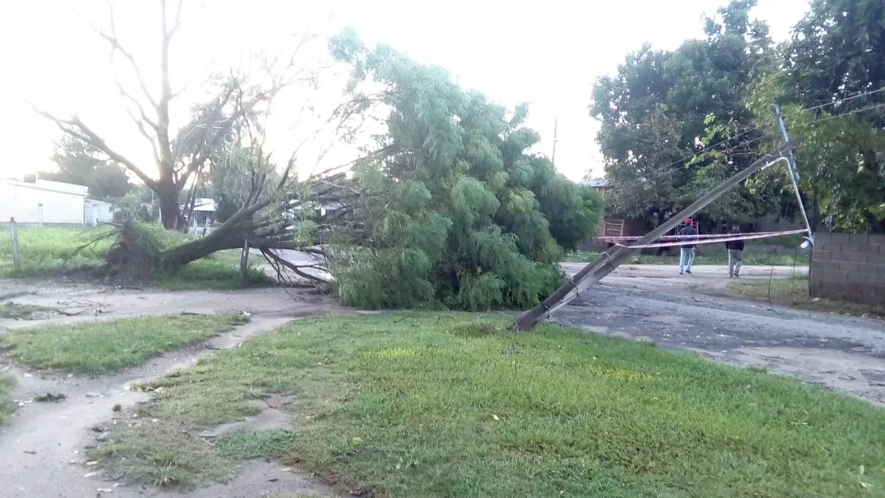 Un tornado provocó caída de árboles y voladura de techos en Rumi Punco