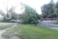 Un tornado provocó caída de árboles y voladura de techos en Rumi Punco