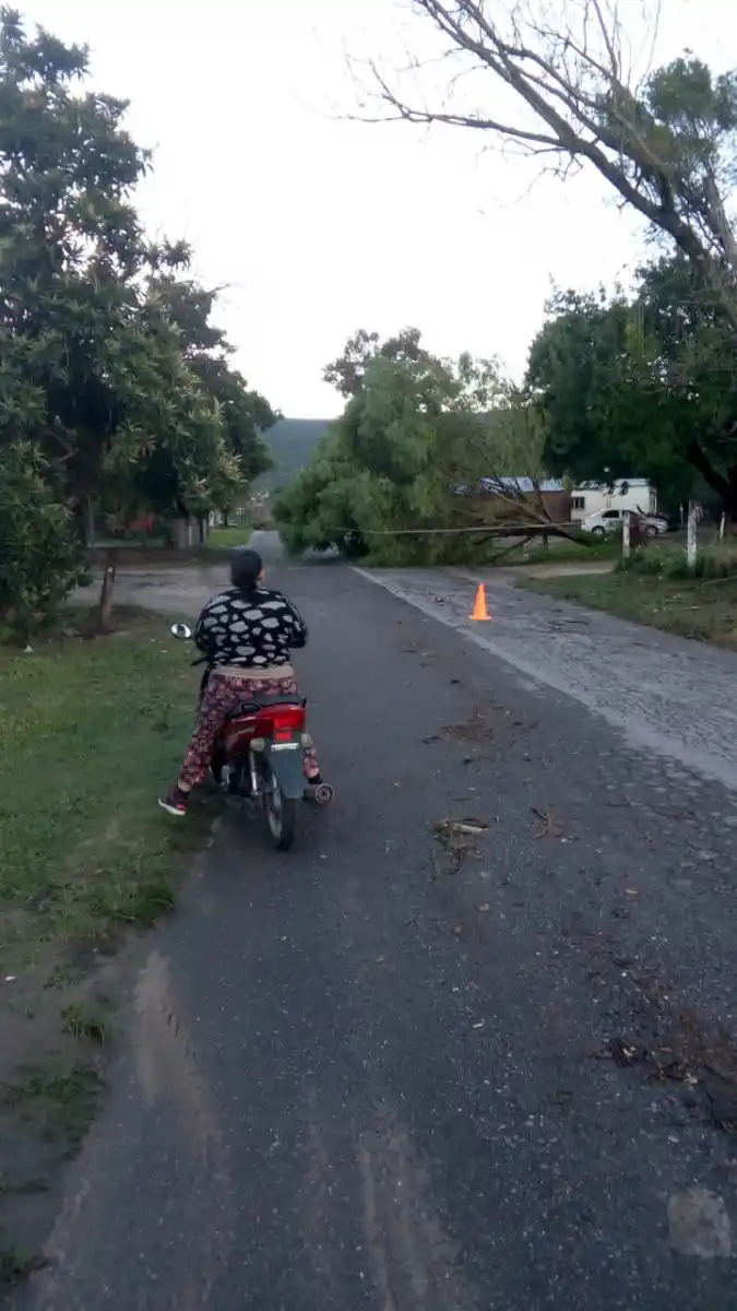 Un tornado provocó caída de árboles y voladura de techos en Rumi Punco
