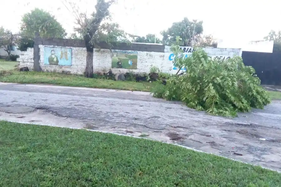 Un tornado provocó caída de árboles y voladura de techos en Rumi Punco