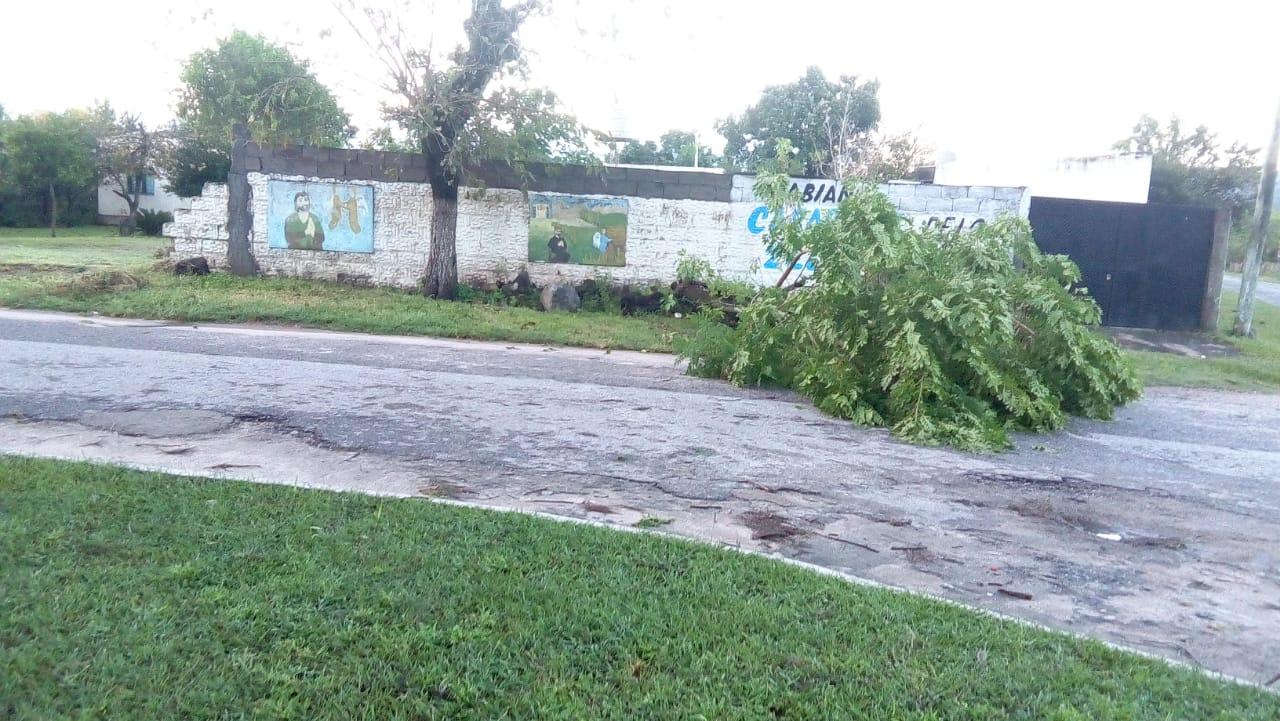 Un tornado provocó caída de árboles y voladura de techos en Rumi Punco