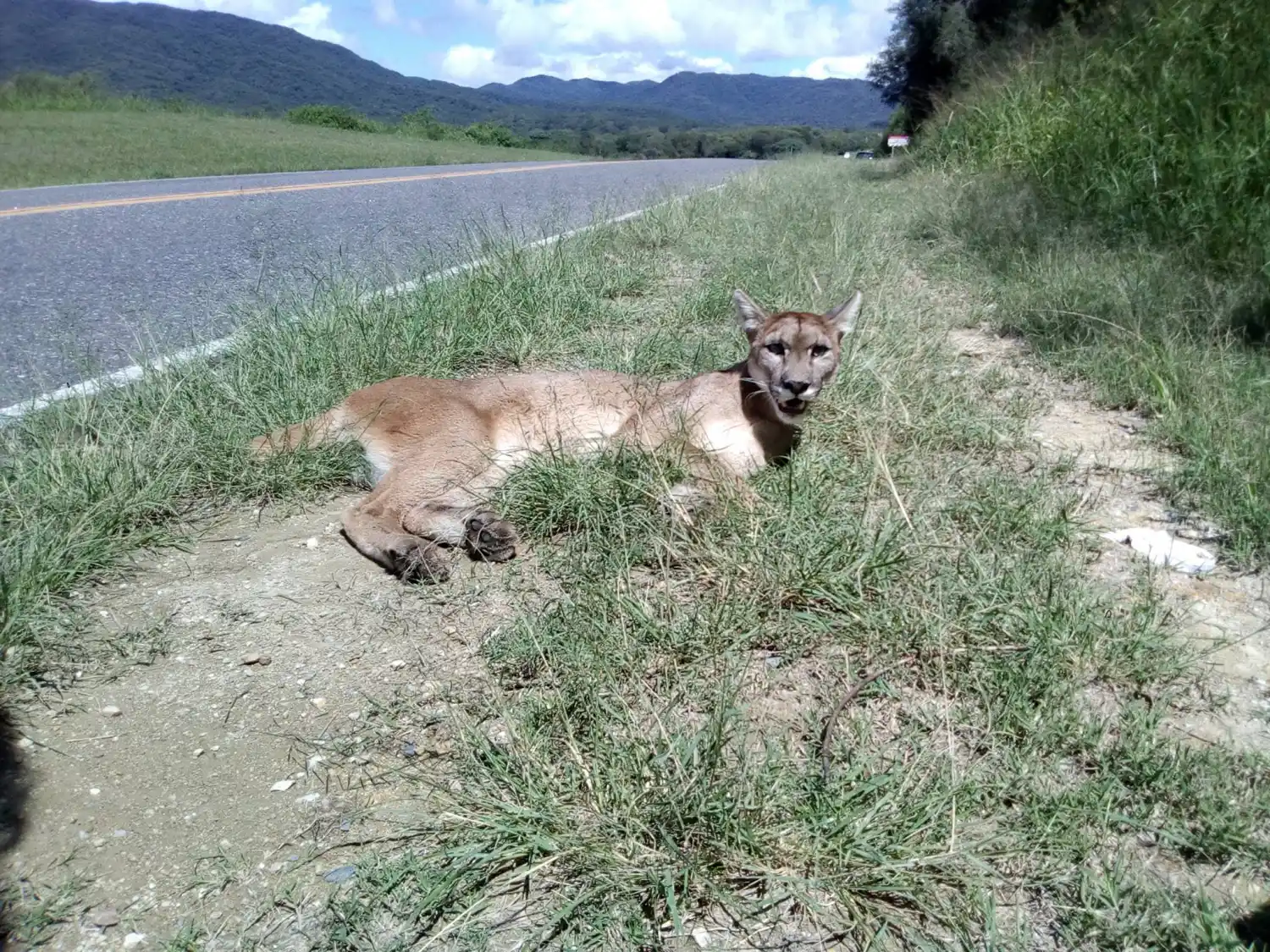 FOTO TOMADA DEL FACEBOOK DE CÉSAR BARRIONUEVO