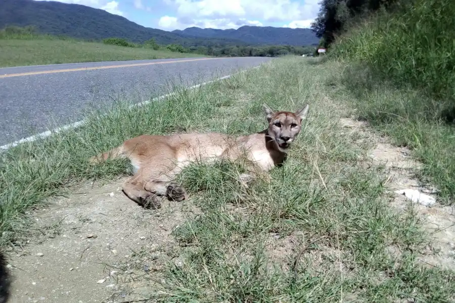 FOTO TOMADA DEL FACEBOOK DE CÉSAR BARRIONUEVO