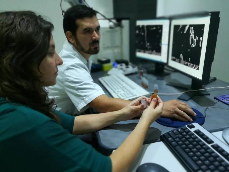 VERIFICANDO DATOS. Virginia Albarracín (con la esponja en la mano) y Luciano Martínez ven en pantalla imágenes que genera el microscopio. FOTO GENTILEZA CECILIA GALLARDO/CISME.-