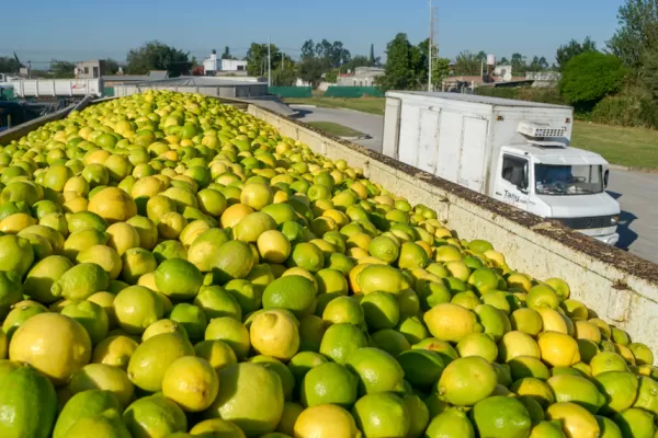 Se abre el diálogo y la campaña citrícola vuelve a su cauce normal