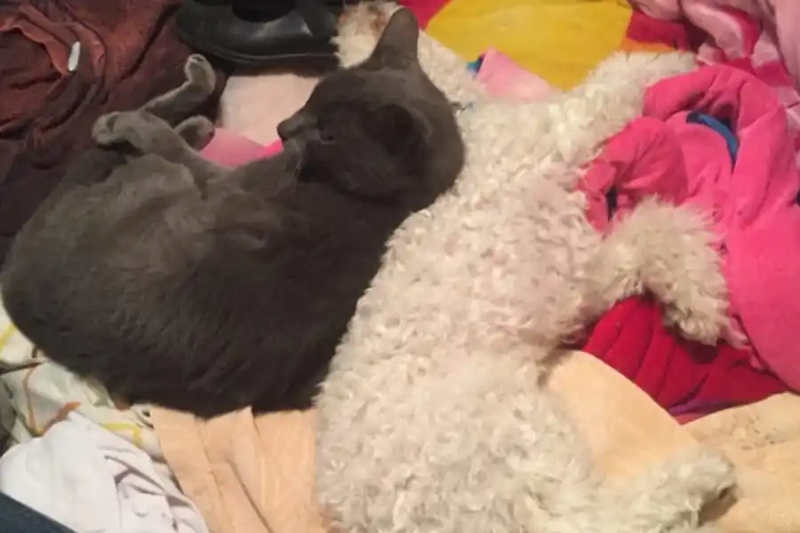 AMIGOS. Las fotos que nos comparte la gente.