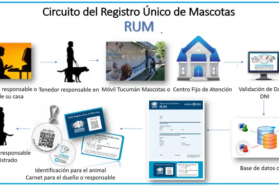 RUM. Paso a paso para registrar a tu mascota.
