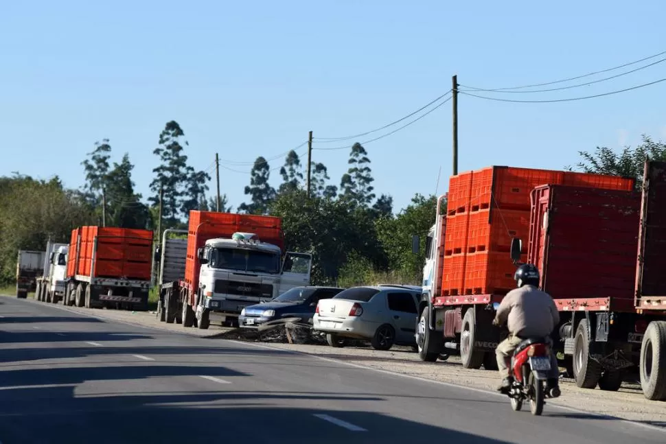 CONFLICTO. El paro de camiones está afectando a 45.000 trabajadores. la gaceta / foto de DIEGO ARAOZ 