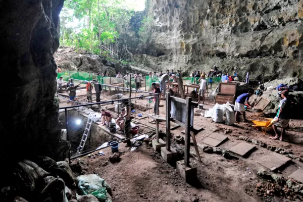 Descubren una nueva especie humana en Filipinas: Homo Luzonensis