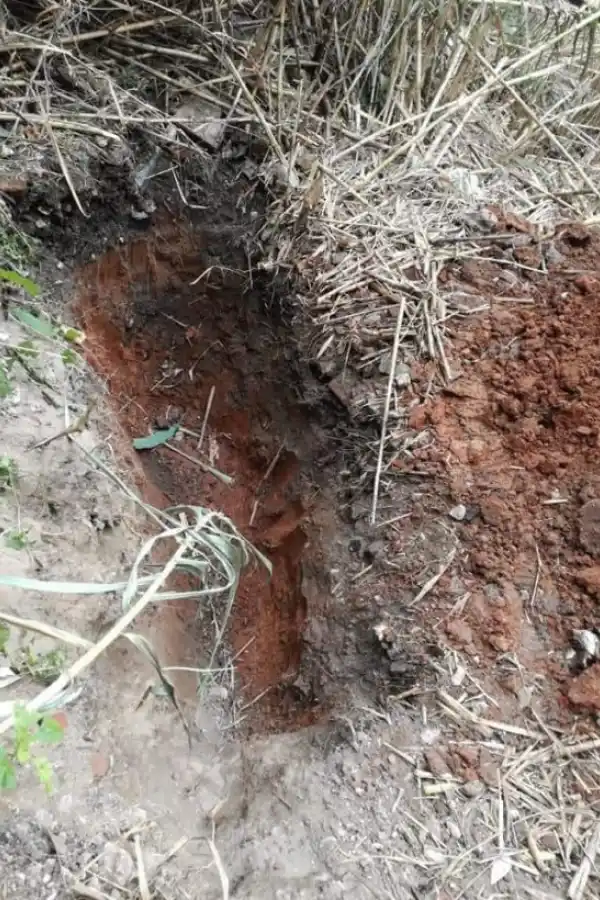 Secuestraron a una menor e intentaron violarla en Entre Ríos