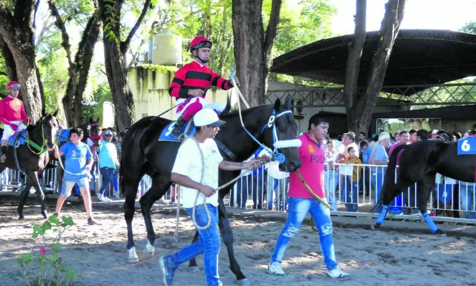 CANDIDATO. Snow Lion será el principal protagonistas en el cotejo jerárquico. 