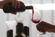 ¿Por qué nos gusta tanto el malbec?