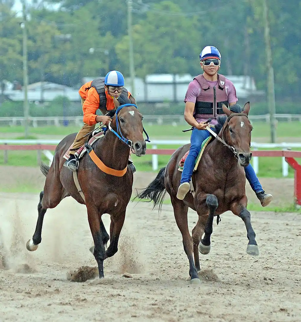 ASCENSO. Navarro está cerca de egresar de la escuela.