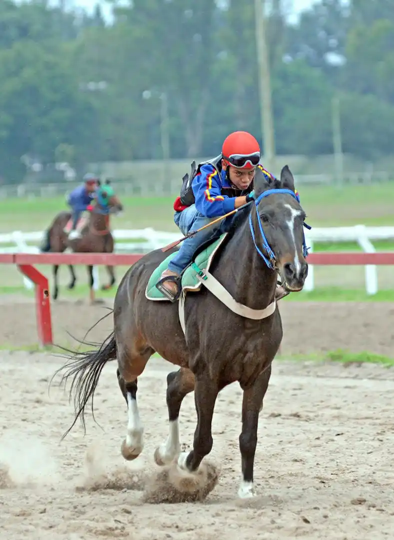 BUENA POSTURA. Schultheis podría correr en mayo. la gaceta / fotos de antonio ferroni