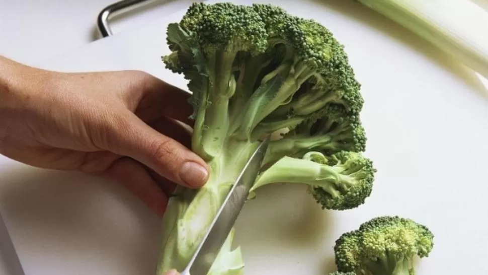 NO DESPERDICIAR. El brócoli tiene gran cantidad de nutrientes.  