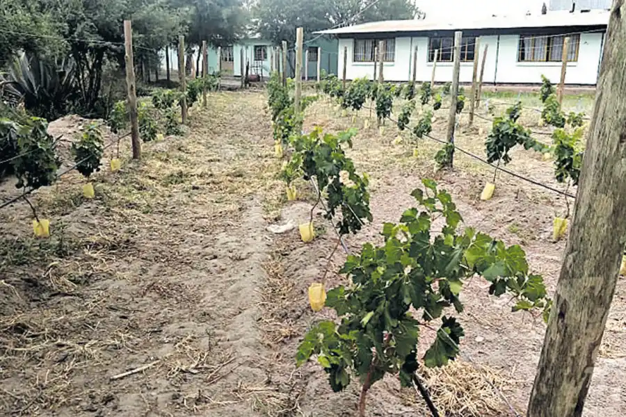 La escuela como centro de la actividad del pueblo