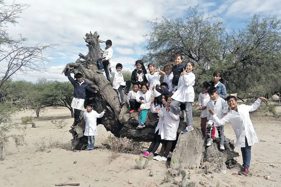 La escuela como centro de la actividad del pueblo