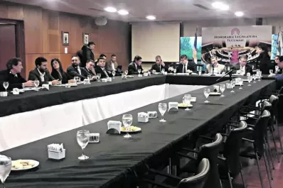 Según Maley, se necesitan 3.000 policías más para combatir la inseguridad