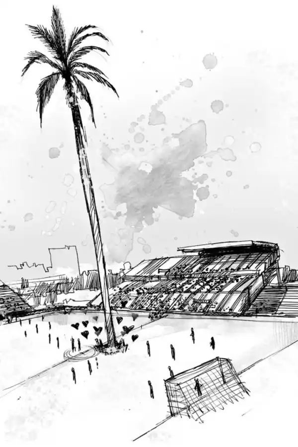 - PALMERA DECANA. La planta se ubicaba justo en el centro donde iba a estar el campo de juego del Monumental José Fierro y retrasó el inicio de las obras.  