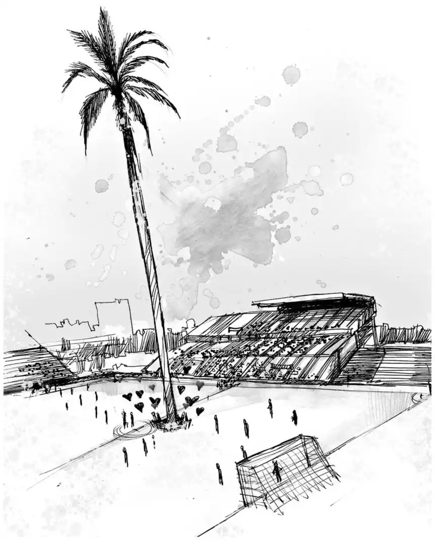 - PALMERA DECANA. La planta se ubicaba justo en el centro donde iba a estar el campo de juego del Monumental José Fierro y retrasó el inicio de las obras.  