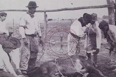 Un orden en la fiesta