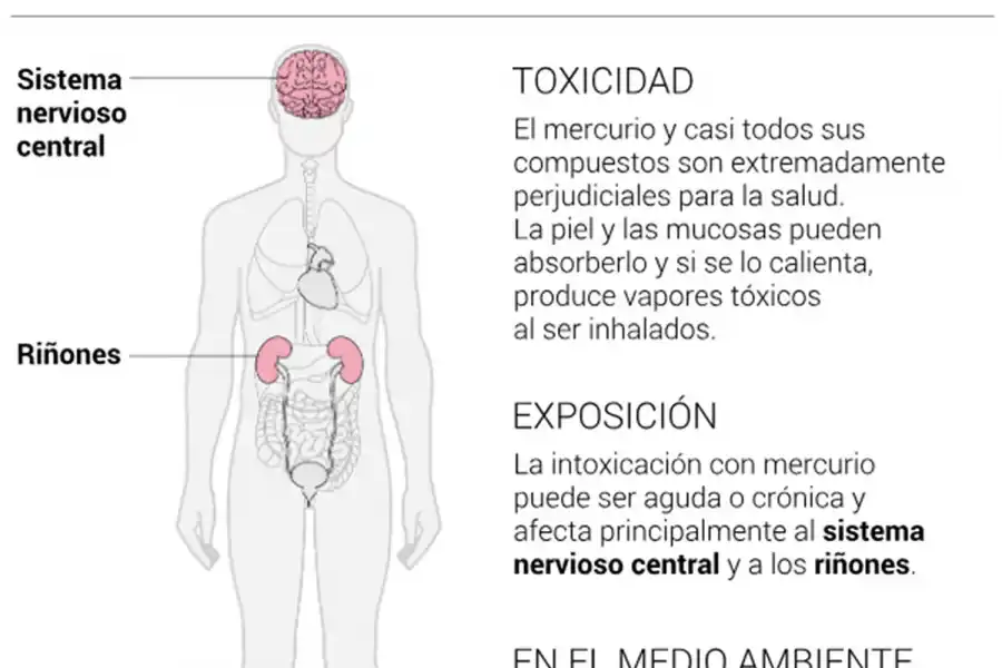 Cien toneladas de mercurio pasaron por Tucumán en las últimas horas