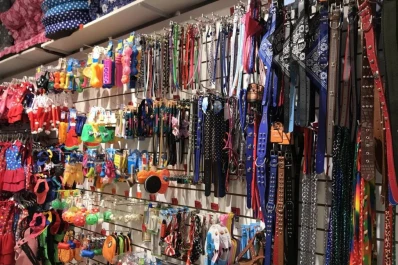 Club LA GACETA: este Día del Animal sorprendé a tu mascota