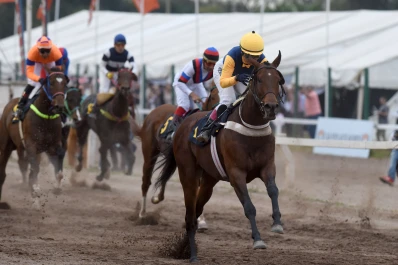 Turf: el ganador del “Batalla” se destaca en el cotejo central