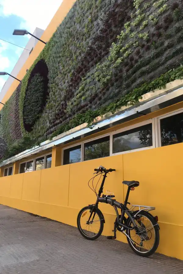 Sacá la bici: las cinco paradas obligatorias de barrio Sur