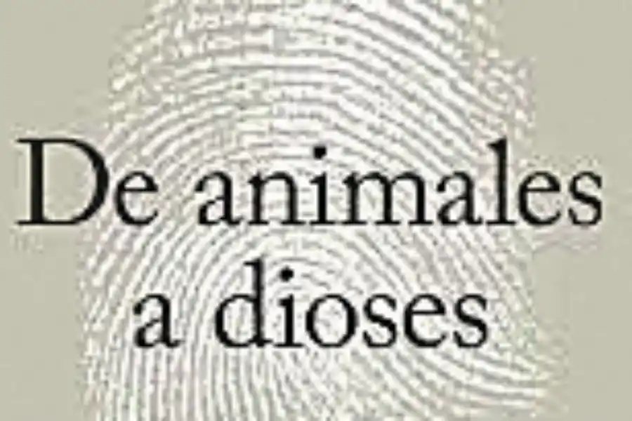 Yo te recomiendo: tres libros para disfrutar