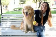 “Dime con qué perro andas y te diré quién eres”