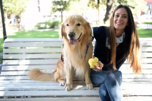 “Dime con qué perro andas y te diré quién eres”