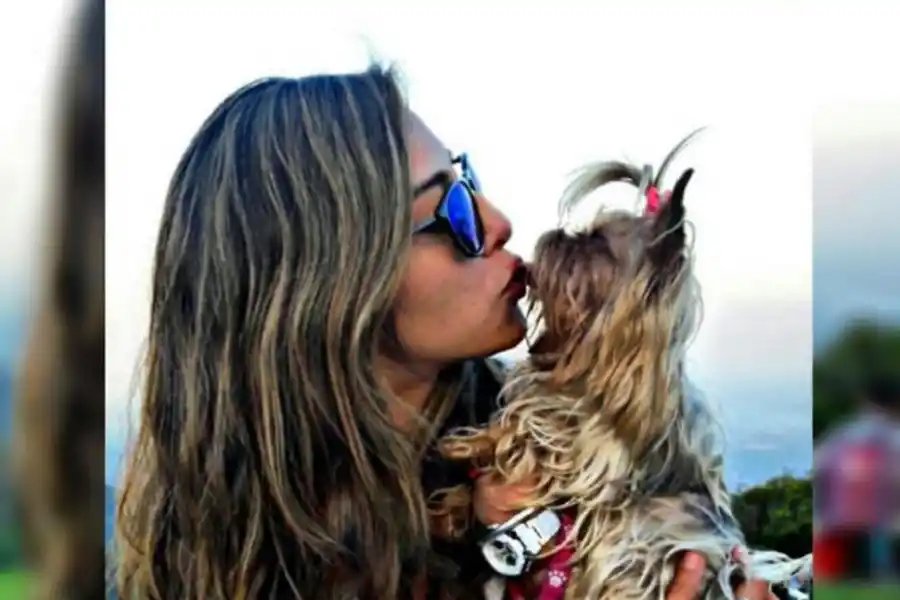 “Dime con qué perro andas y te diré quién eres”