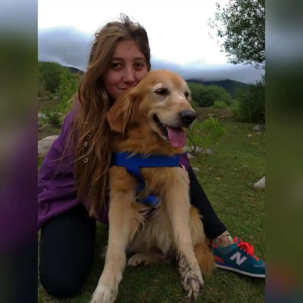 “Dime con qué perro andas y te diré quién eres”