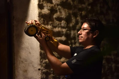 Qué sienten los adultos que no pueden desprenderse de sus juguetes infantiles