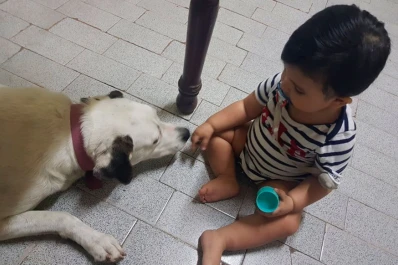 Una veterinaria pensada para que los más chiquitos y sus mascotas no sufran