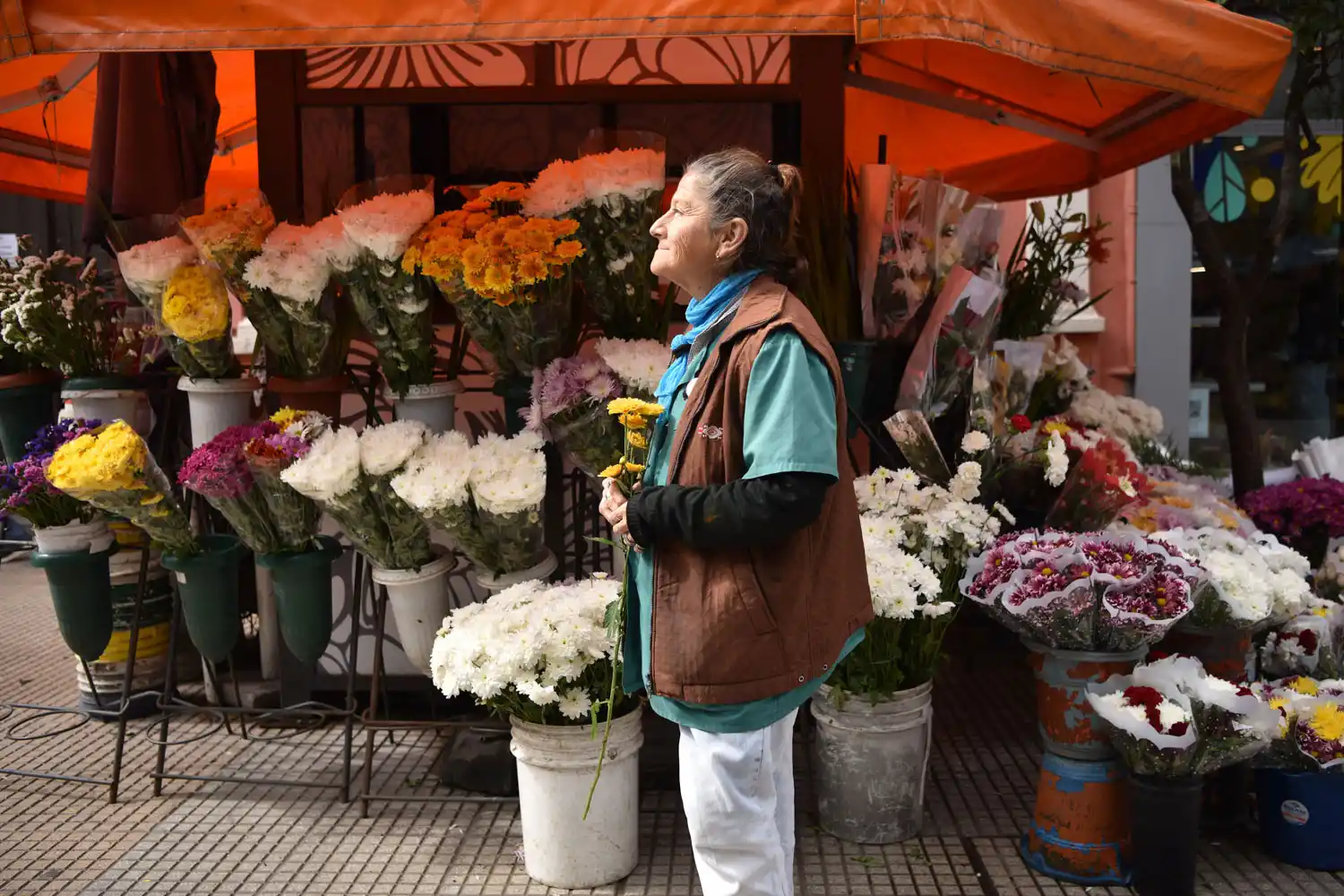 LA FELICIDAD. Eli dice que hablar con sus flores le da vida y energía.