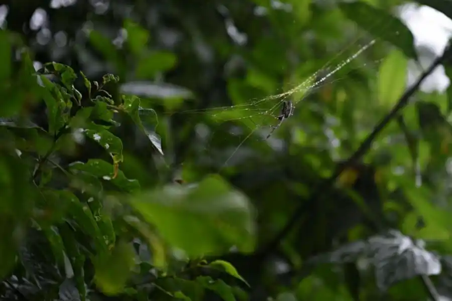 LA GACETA / FOTOS DE JUAN PABLO SANCHEZ NOLI.- 