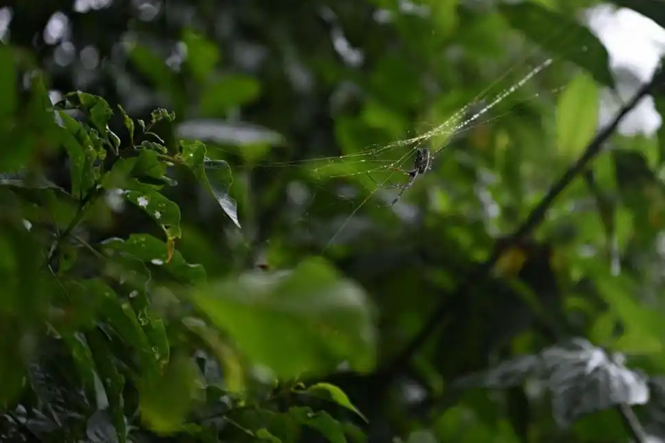 LA GACETA / FOTOS DE JUAN PABLO SANCHEZ NOLI.- 
