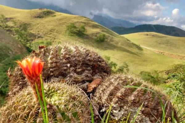 Eligieron las siete Maravillas Naturales de Argentina y Tucumán quedó afuera