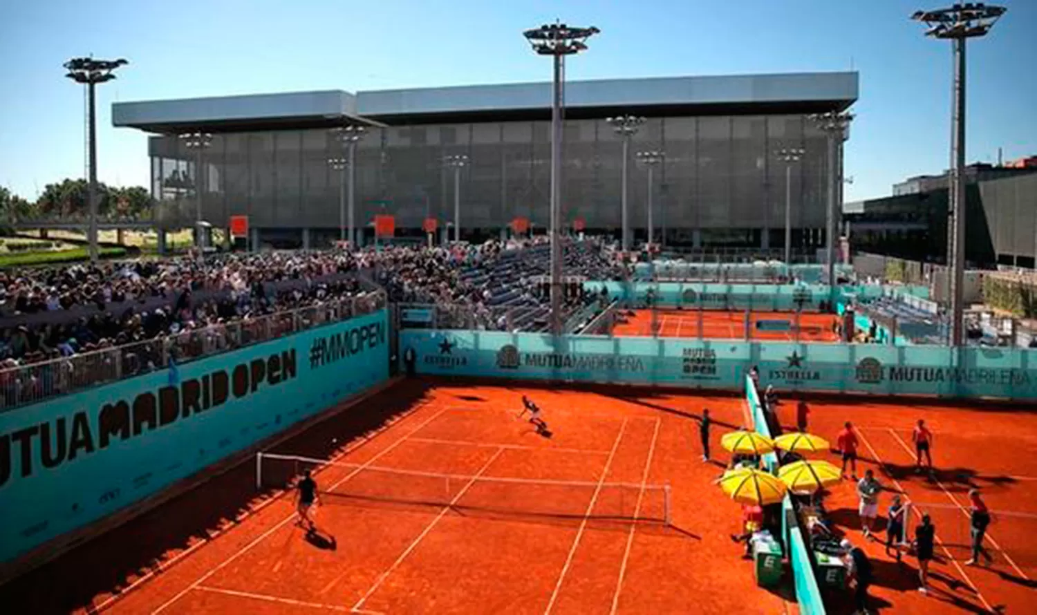 Viernes a puro rugby, básquet y tenis: hora, TV y el resto de la agenda deportiva