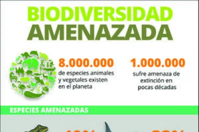 Ecosistemas en peligro: un millón de especies están amenazadas de extinción