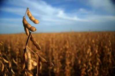 “Los agricultores esperamos que vuelva el sol para poder avanzar con la trilla de soja”