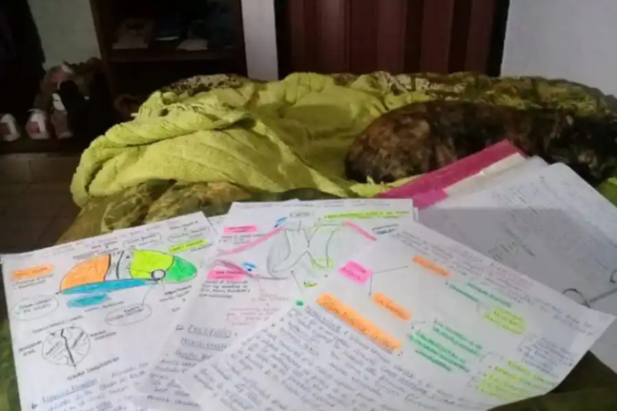 Cuando rendirse no es una opción: historias detrás de los bochazos en Medicina