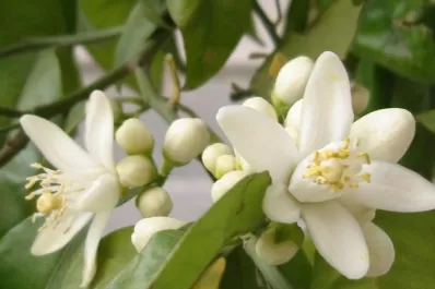 Una visión de la ciudad