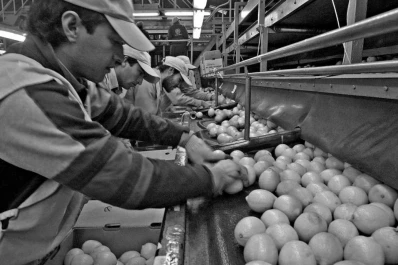 De emprendedores  a empresarios