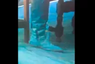 Ahora, una botella de agua mineral: otro desliz en el capítulo final de Game of Thrones